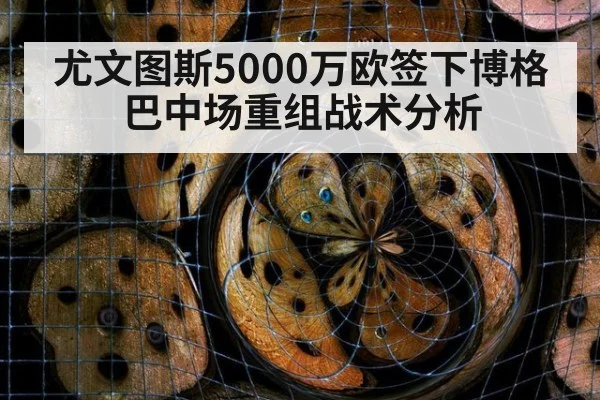 尤文图斯5000万欧签下博格巴中场重组战术分析
